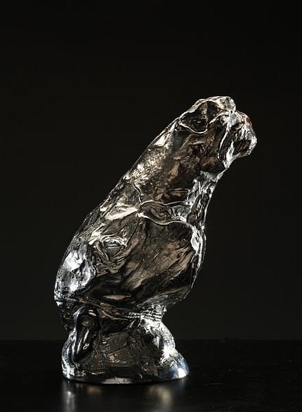 Vaclav Machac, Small Anatomy of a Horse Head
2008, Glass